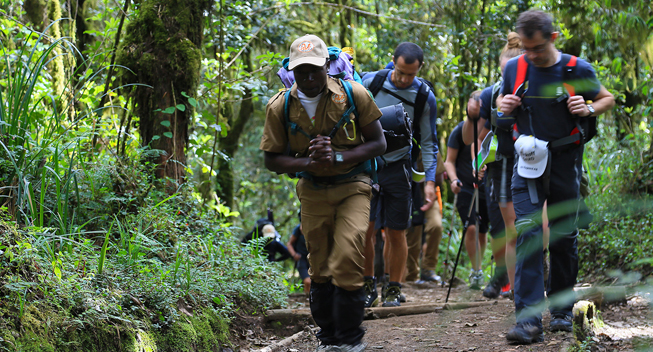 Kilimanjaro 2014 i skoven