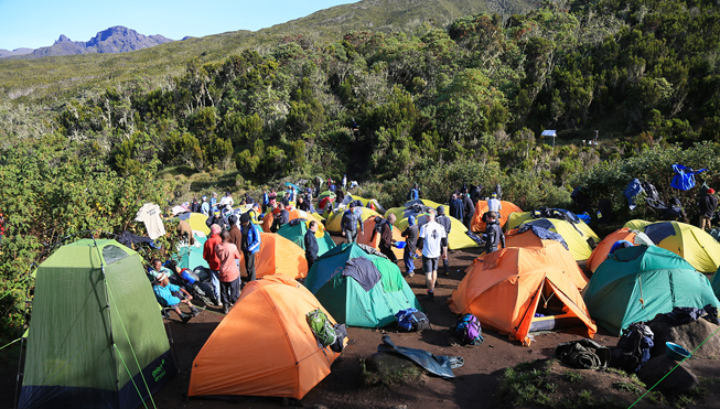 Kilimanjaro 2014 lejr 