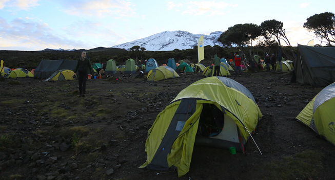 Kilimanjaro 2014 lejr  